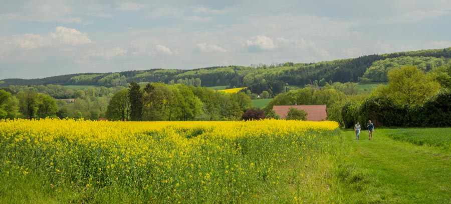 Teutoschleife Holperdolper